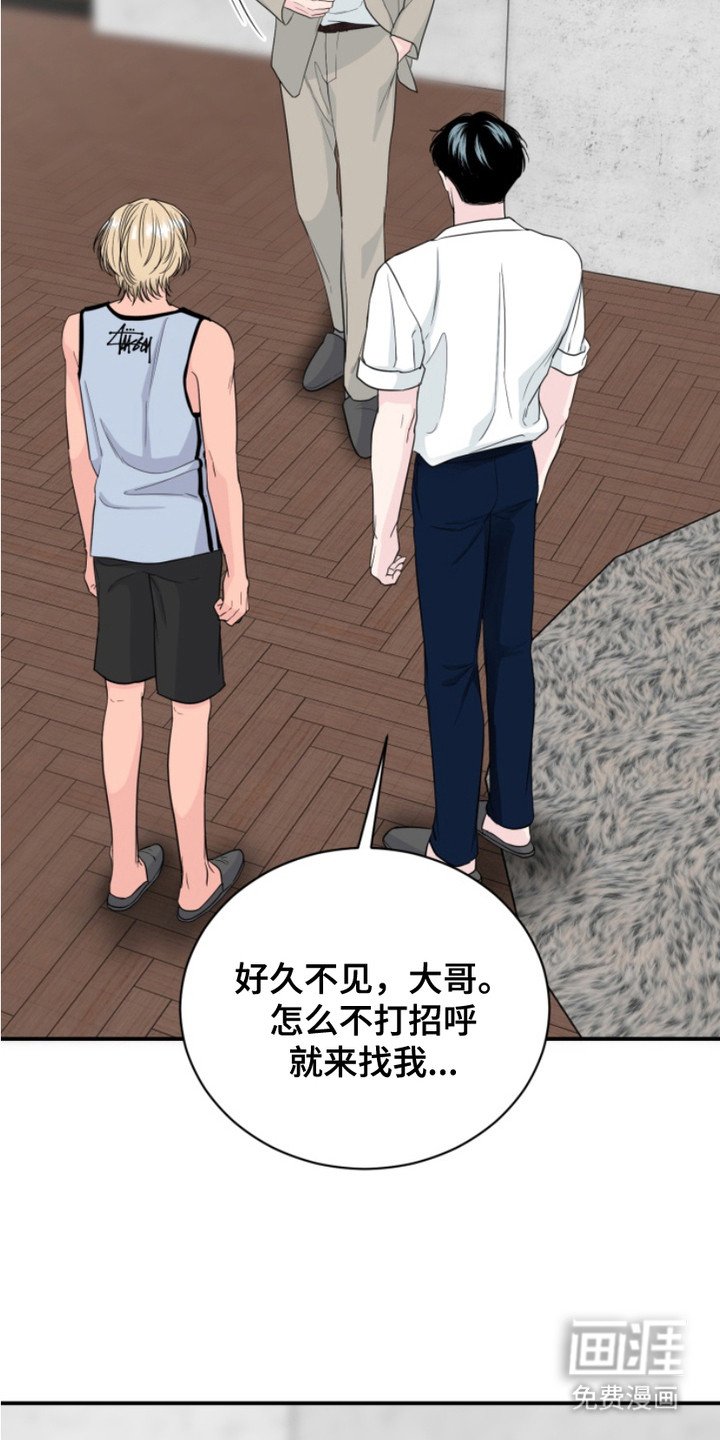 第15章：哥哥