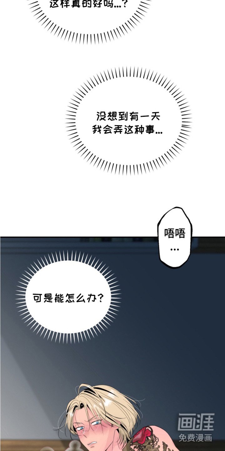 第17章：说漏嘴