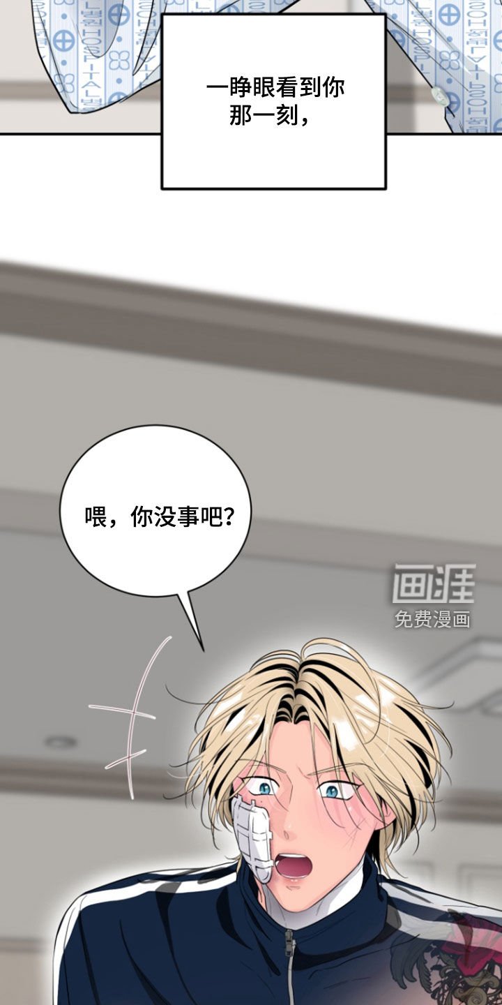 第26章：怕再次相遇