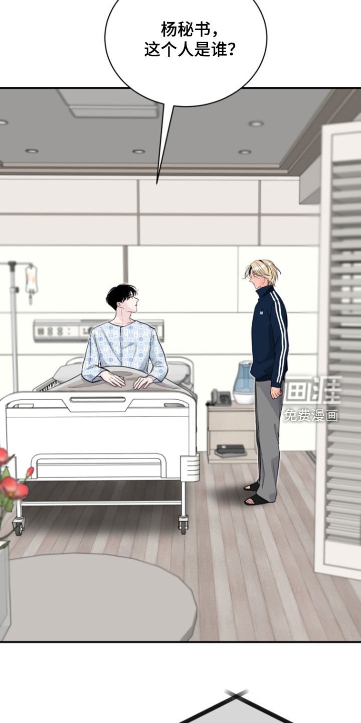第26章：怕再次相遇