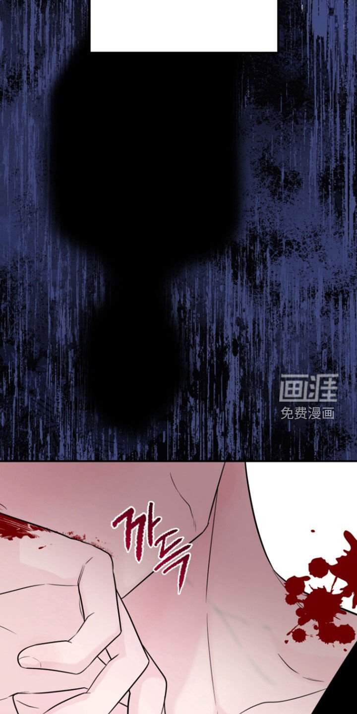 第26章：怕再次相遇