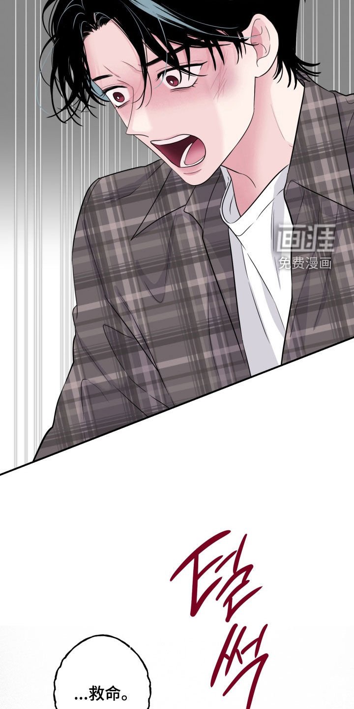 第28章：全都毁了