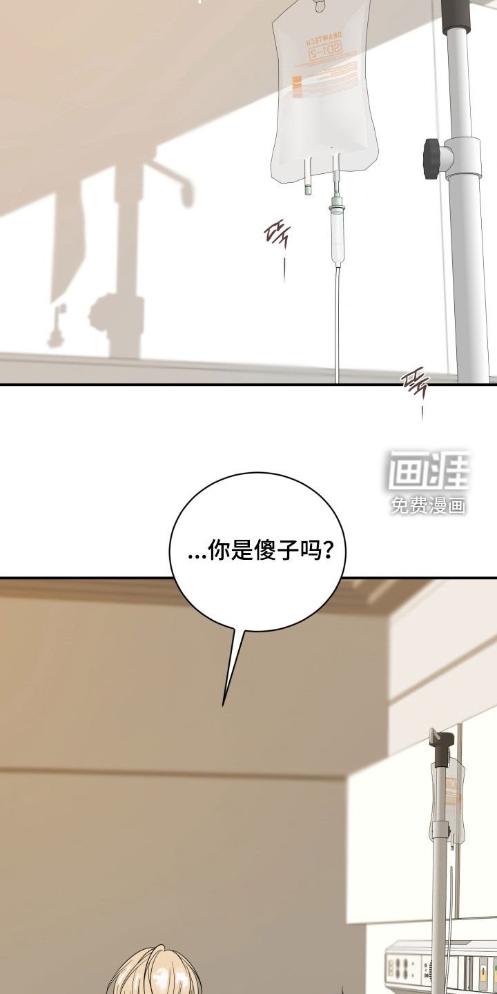 第36章：最重要的存在