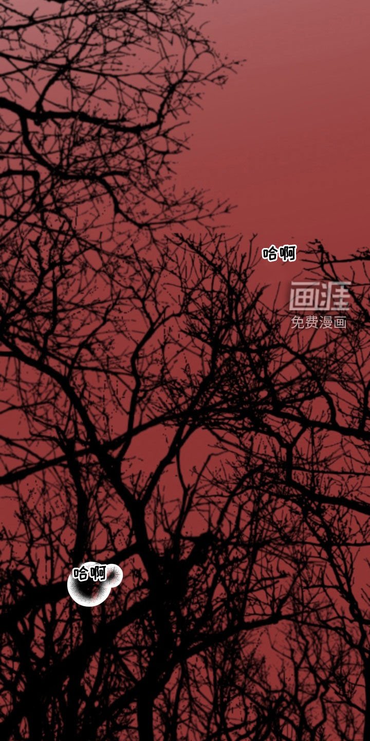 第36章：最重要的存在