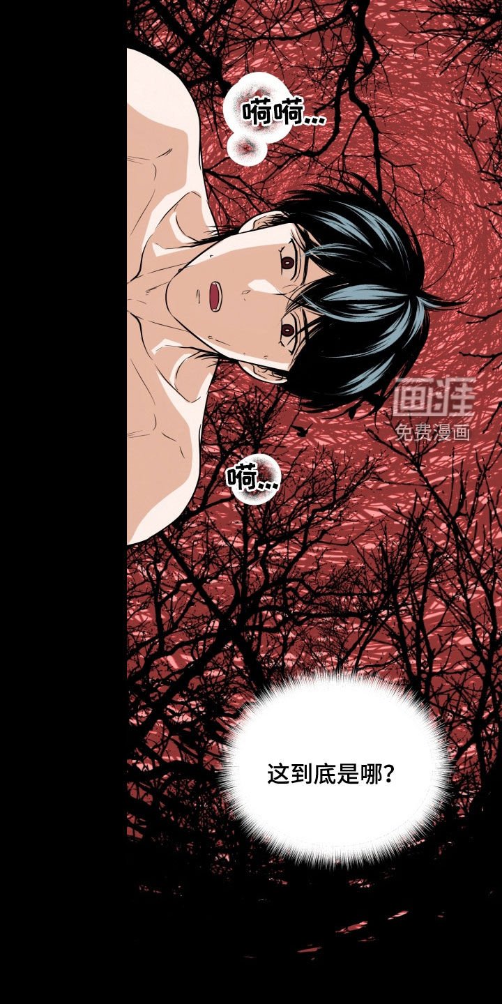 第36章：最重要的存在