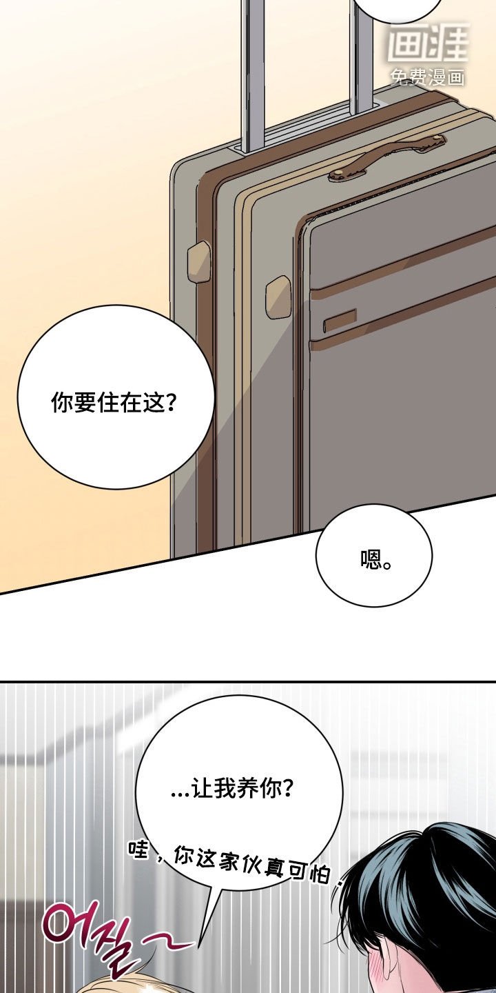 第40章：两个人的秘密（完结）