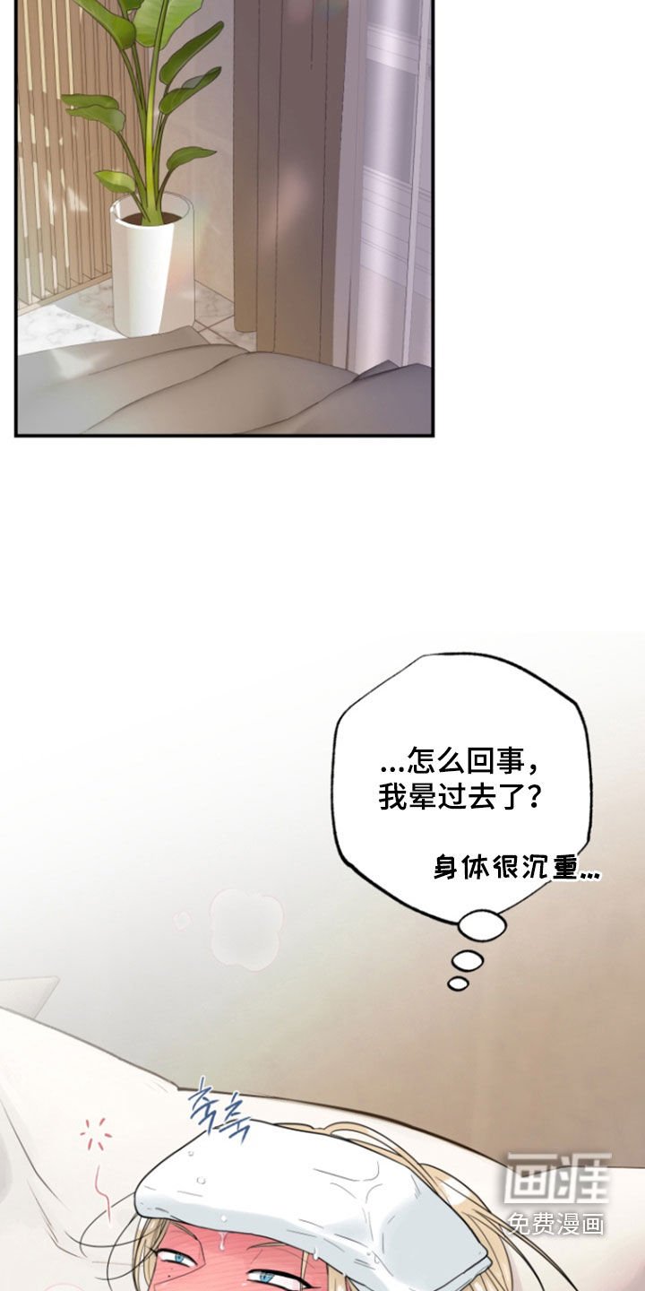 第41章：【番外】感冒