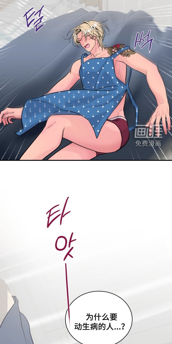 第43章：【番外】午餐