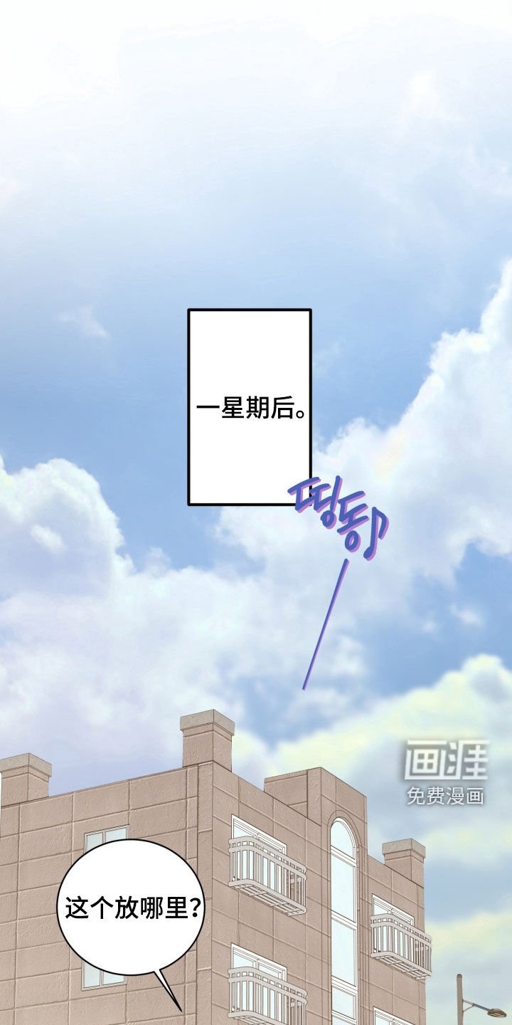 第46章：【番外】相片