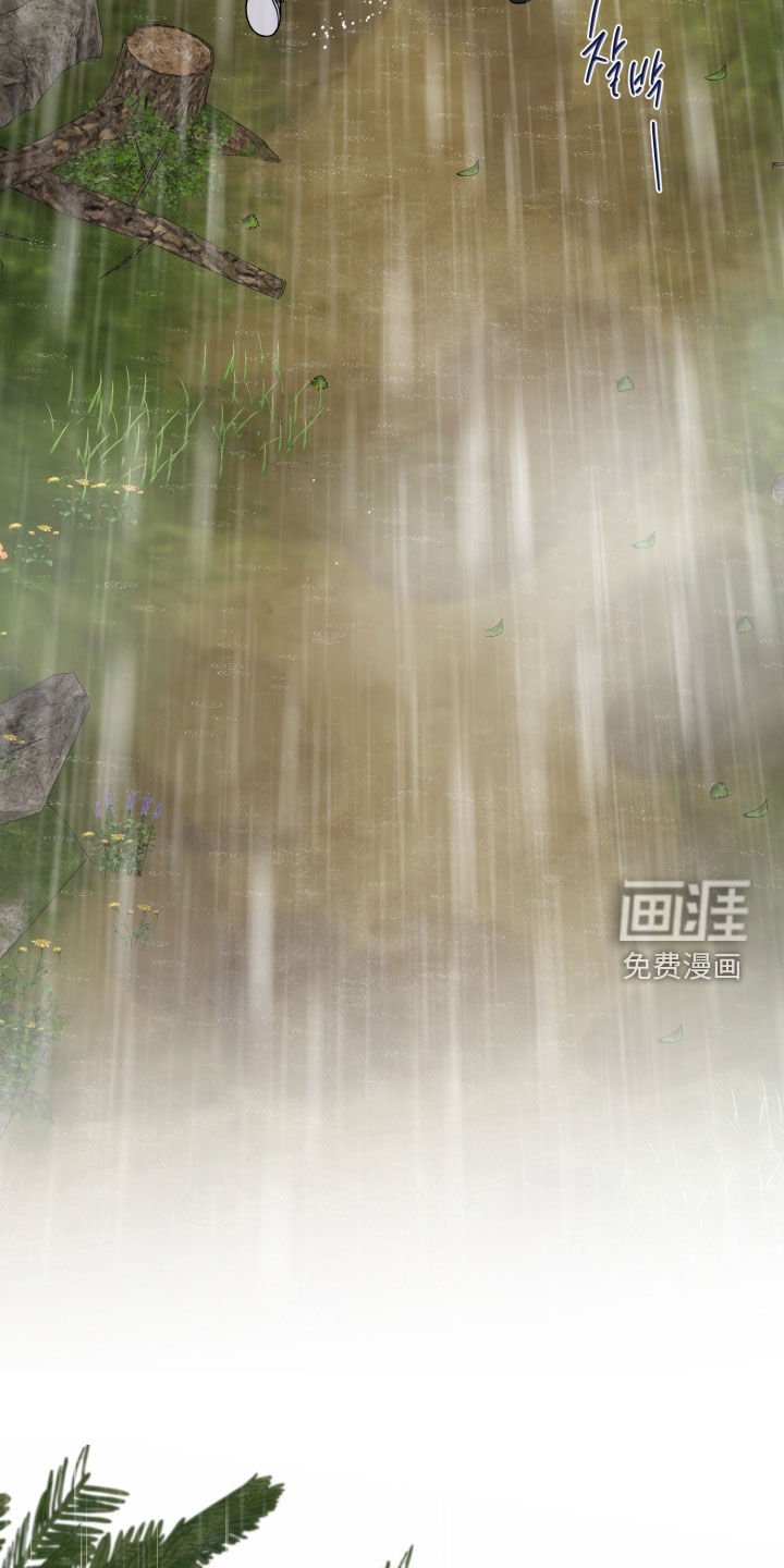 第50章：【特别篇】诸事不顺