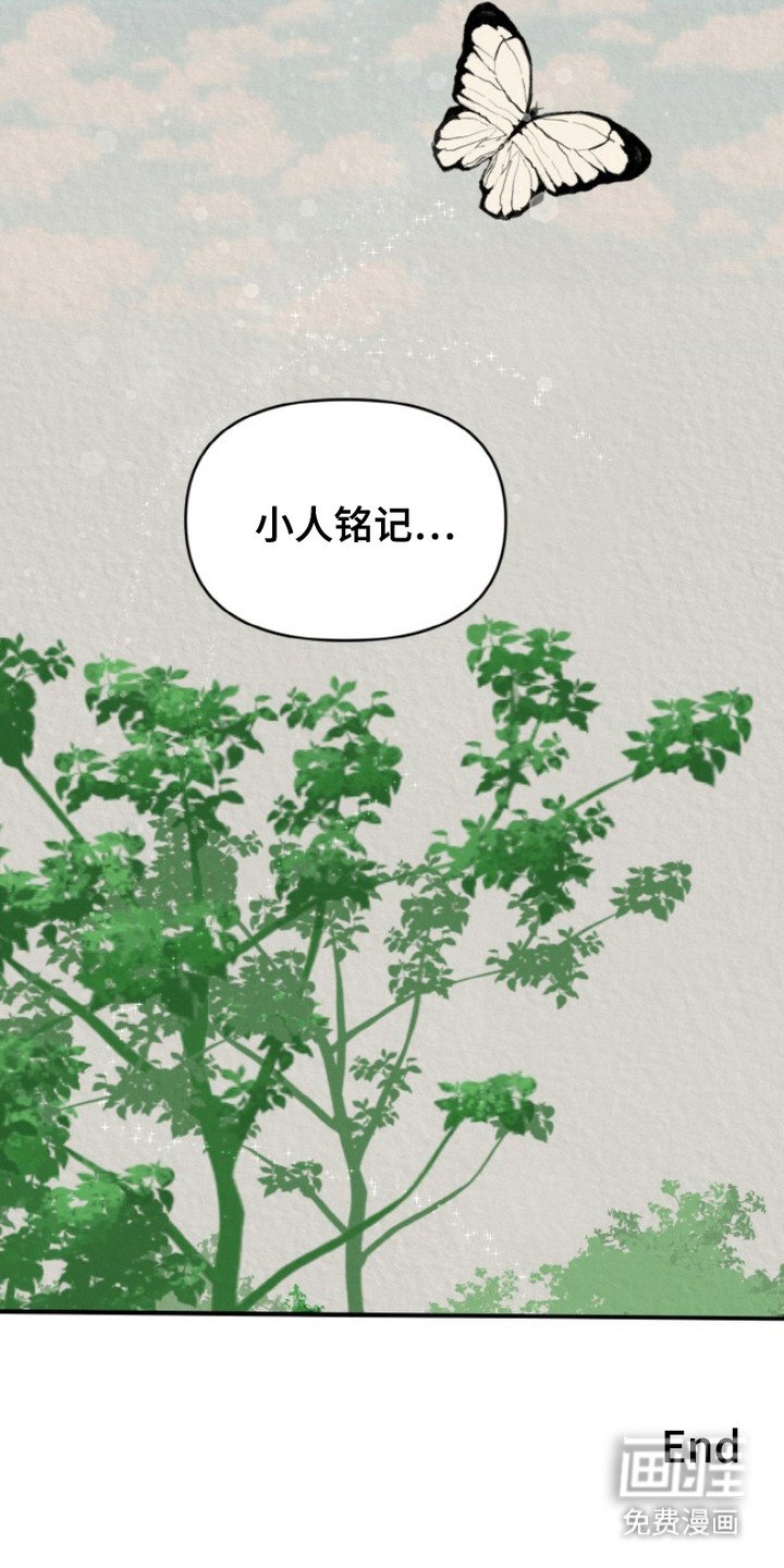 第6章：铭记于心（完结）