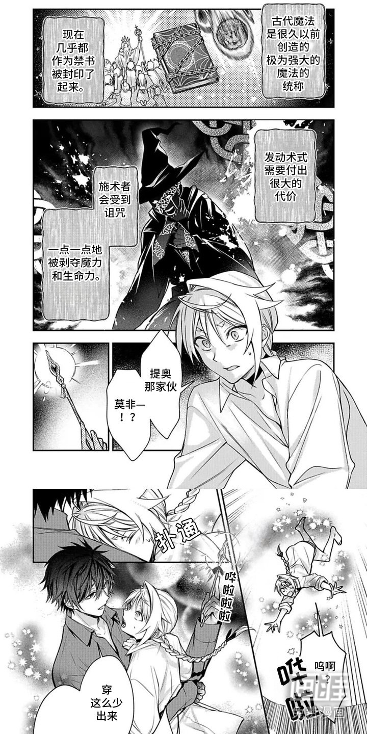 第3章：代价