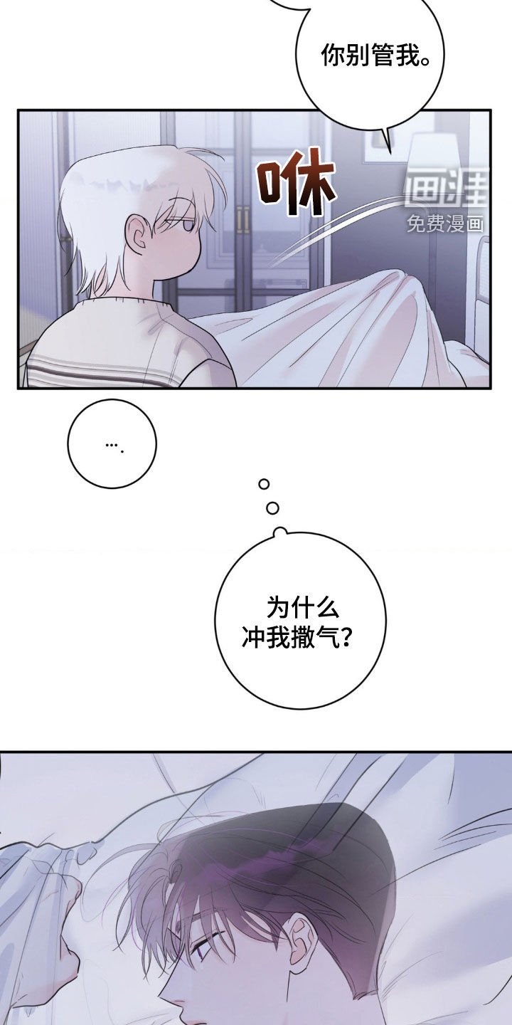 第23章：安慰