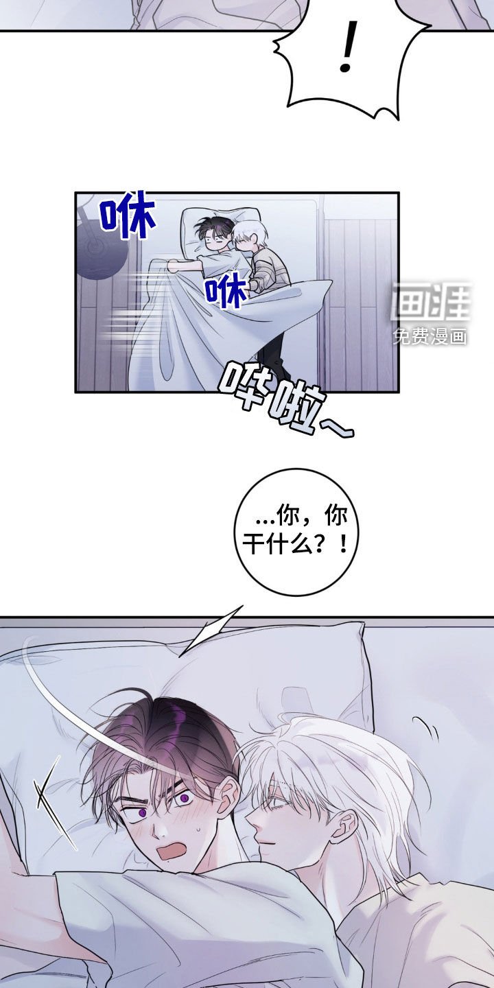 第23章：安慰