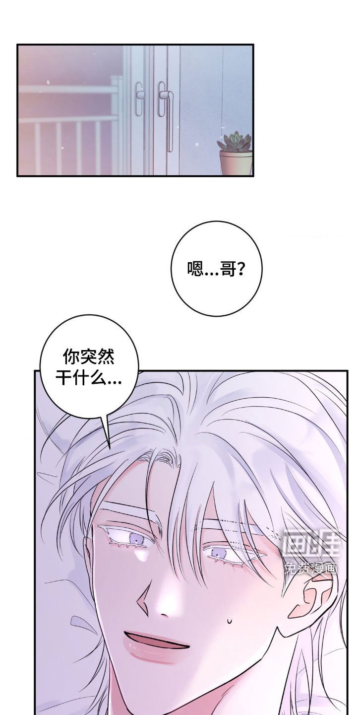 第24章：别再招惹我