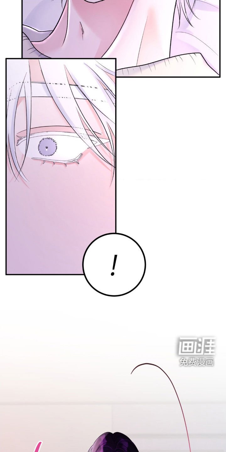 第24章：别再招惹我