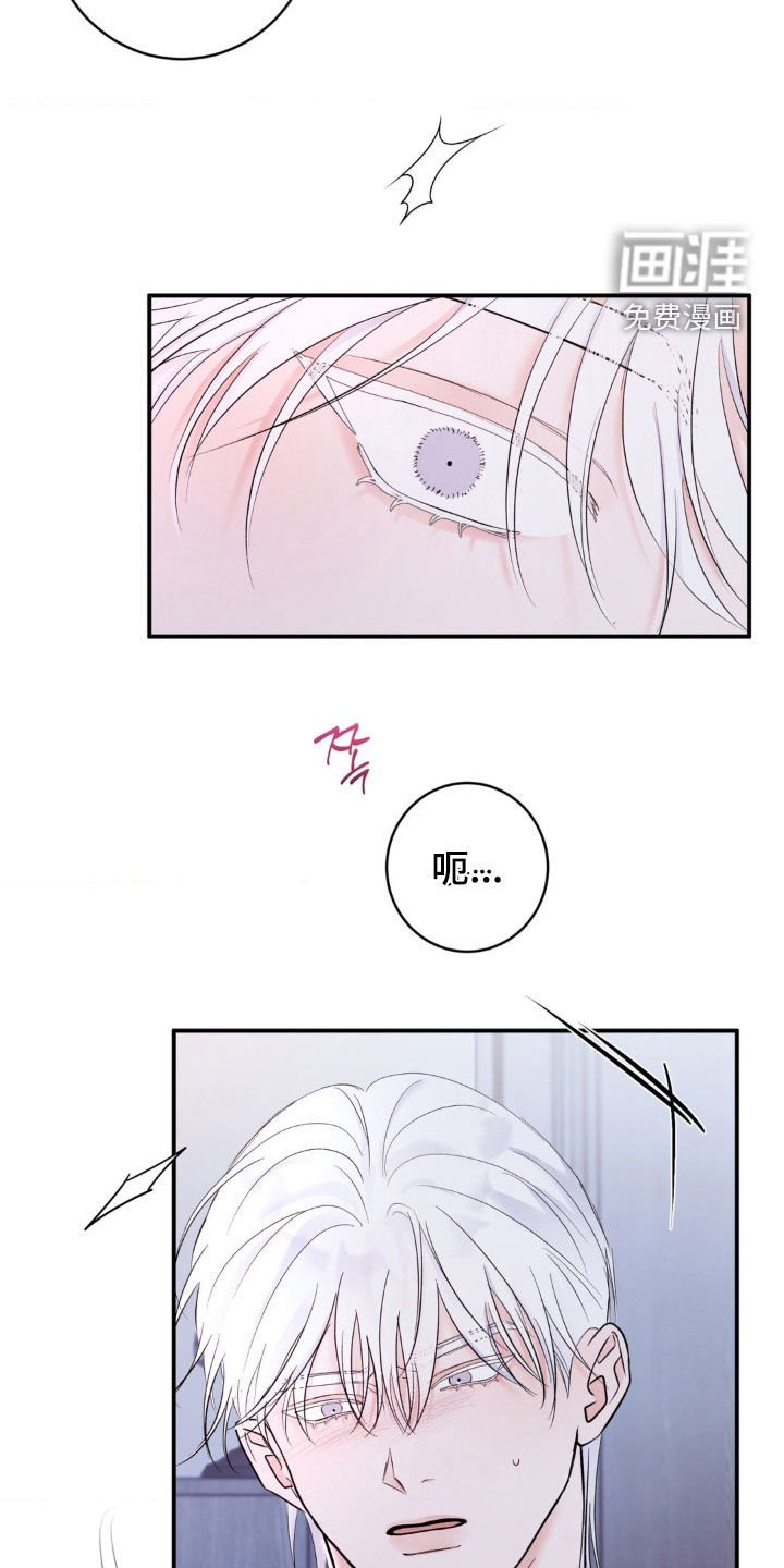 第24章：别再招惹我