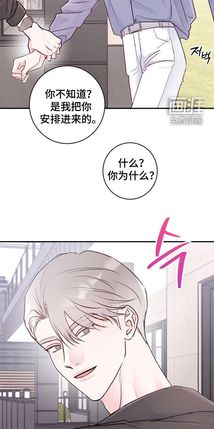 第31章：打什么鬼主意