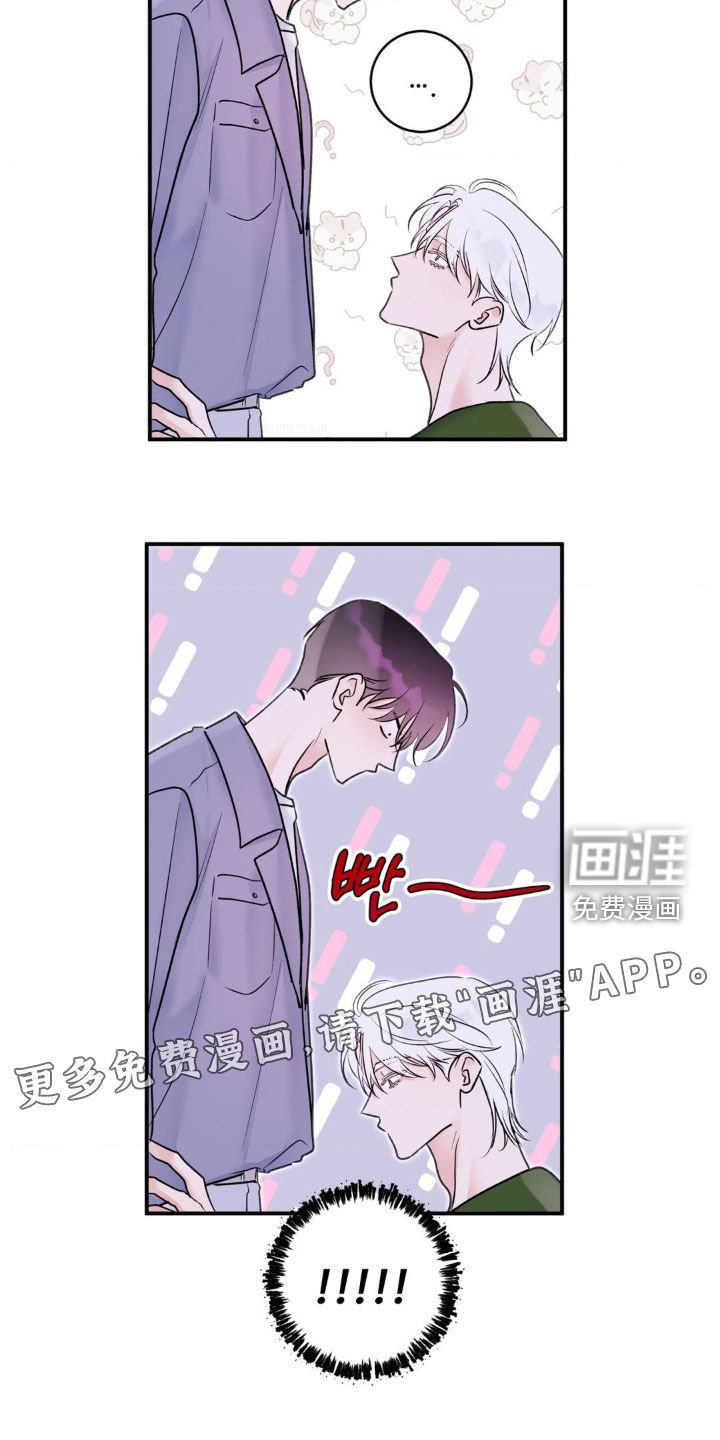 第36章：我说了别动