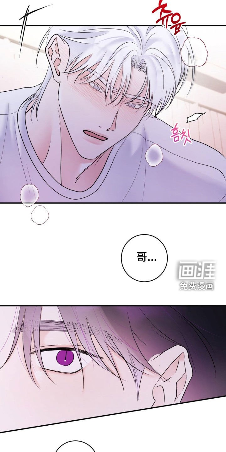 第36章：我说了别动