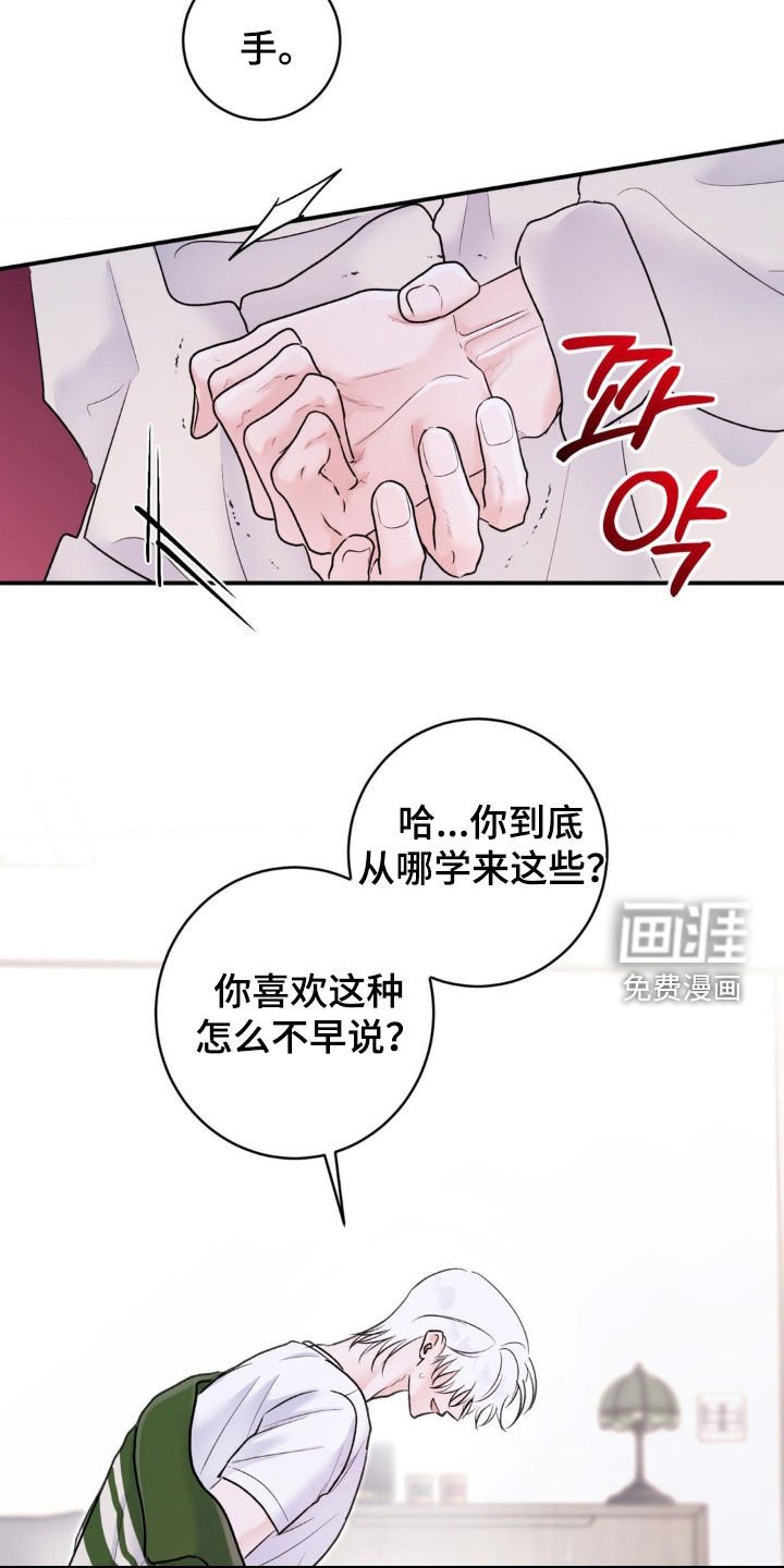 第36章：我说了别动