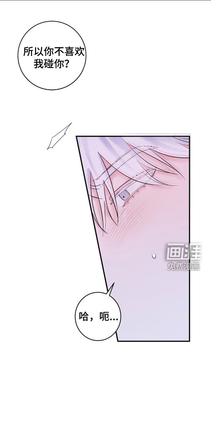 第36章：我说了别动