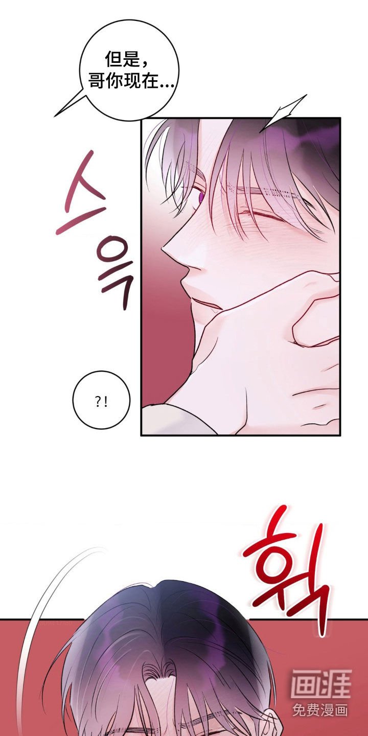 第36章：我说了别动