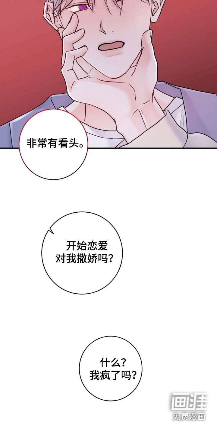 第36章：我说了别动
