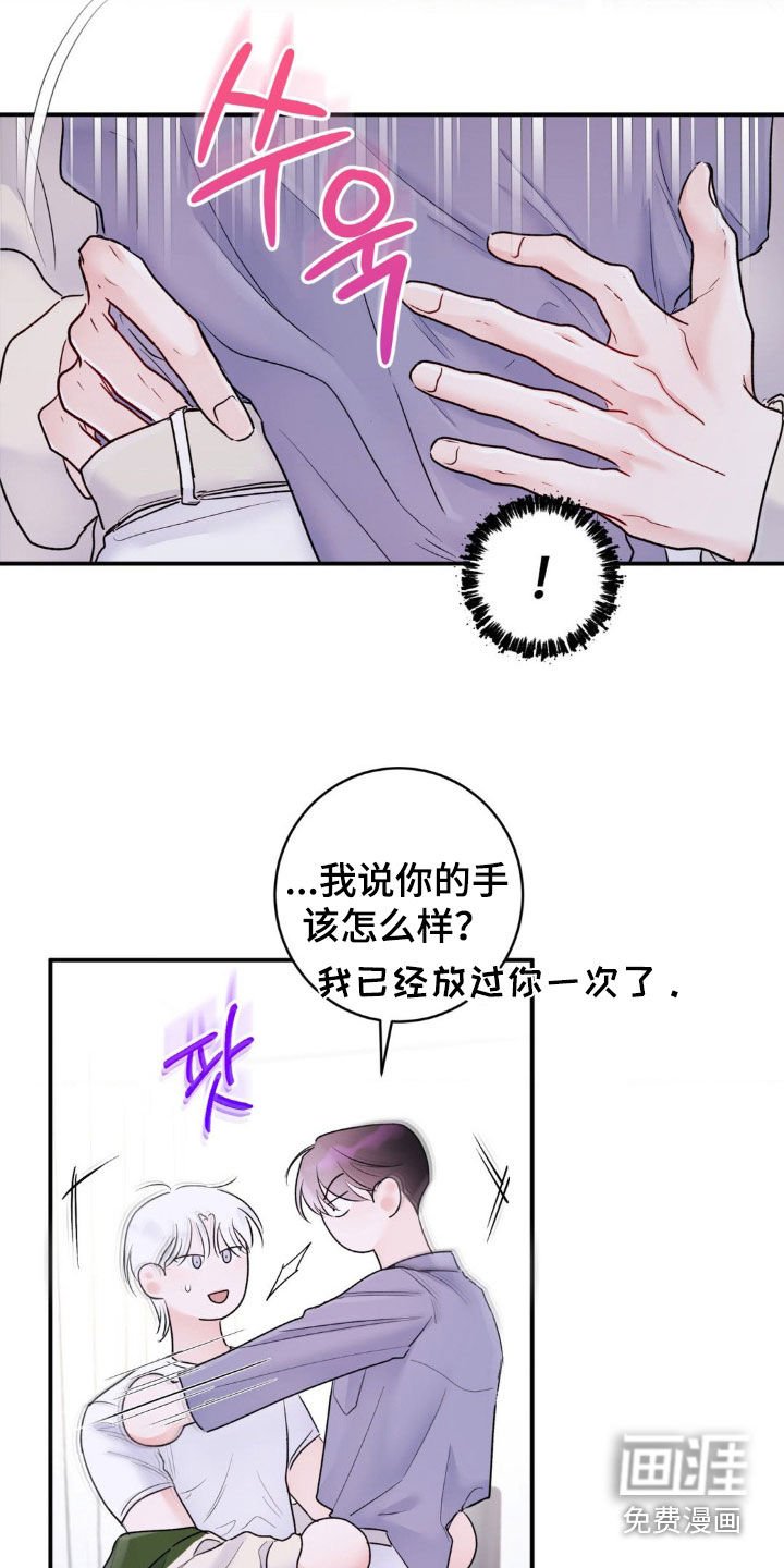 第36章：我说了别动