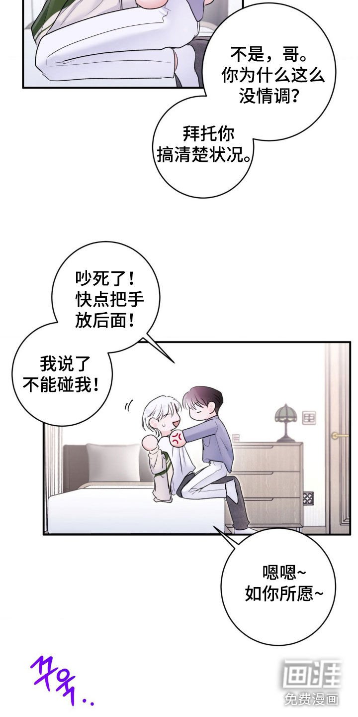 第36章：我说了别动