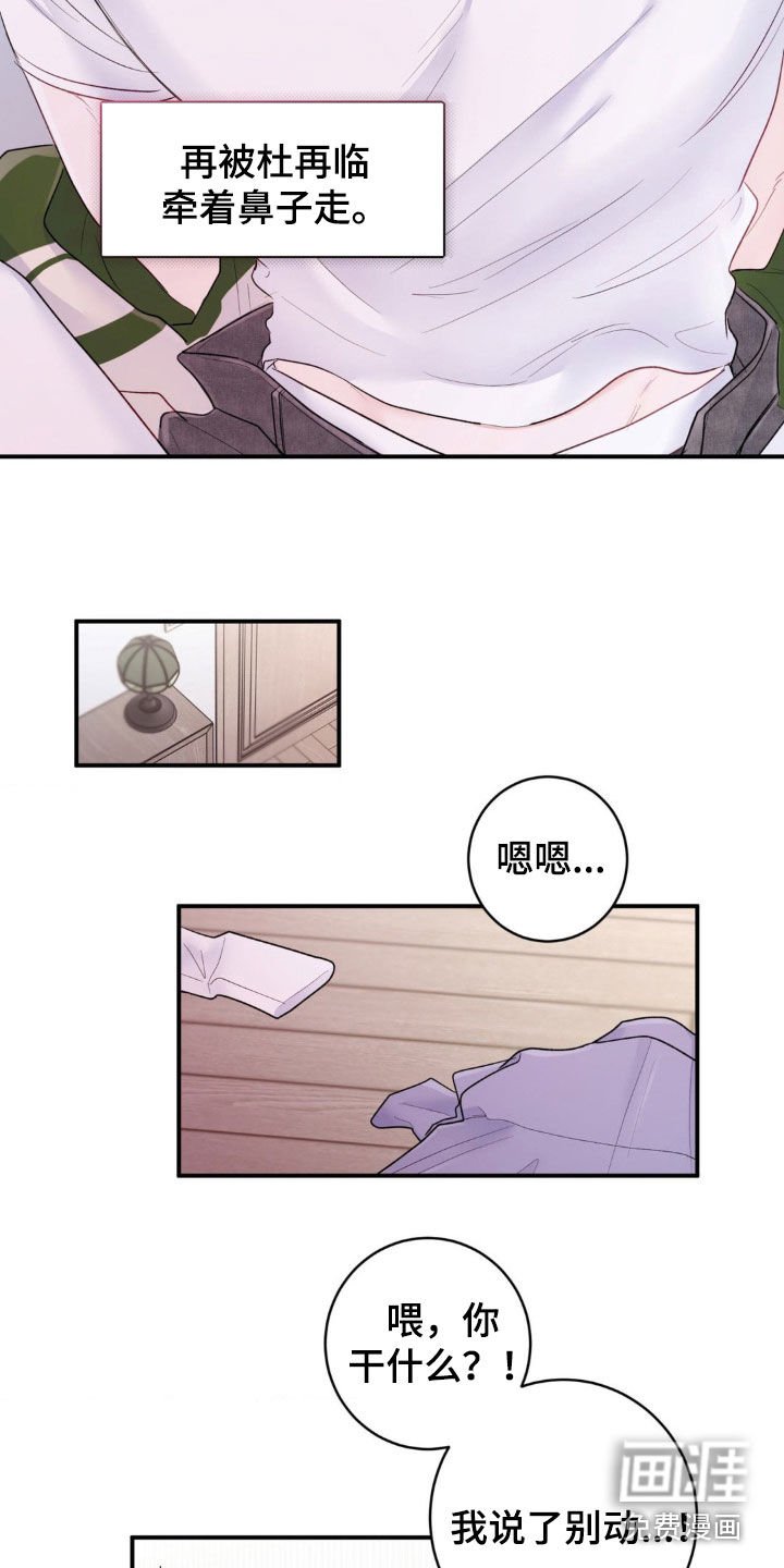 第36章：我说了别动
