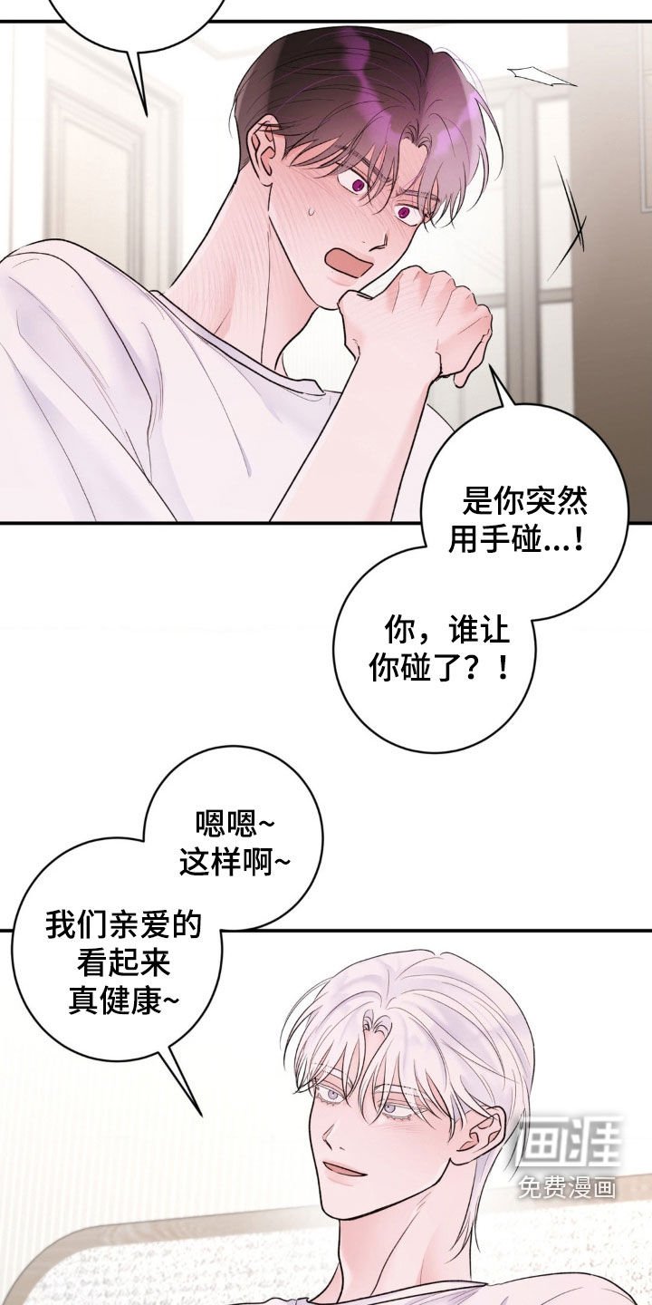 第37章：有趣的消息（第一季完结）