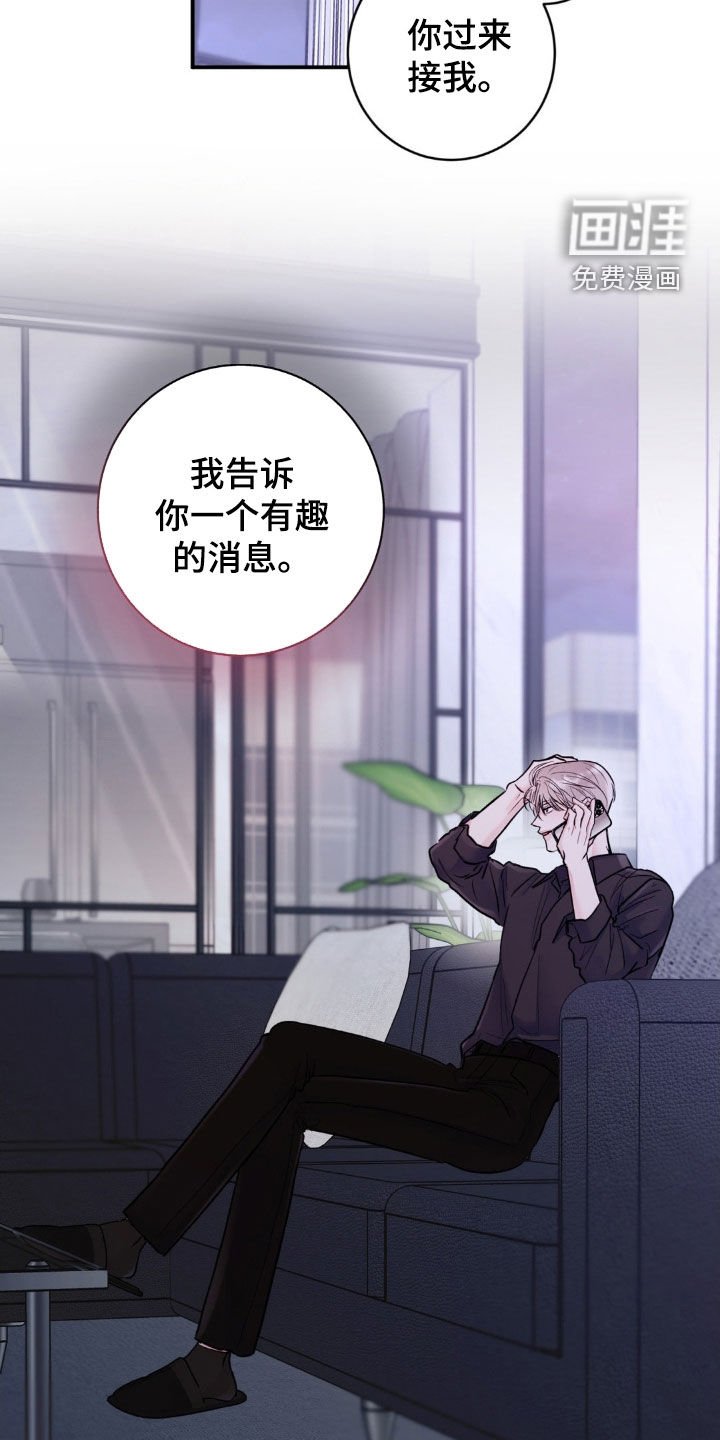 第37章：有趣的消息（第一季完结）