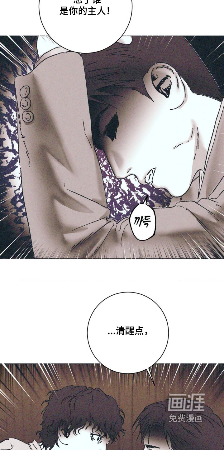 第11章：清醒一点