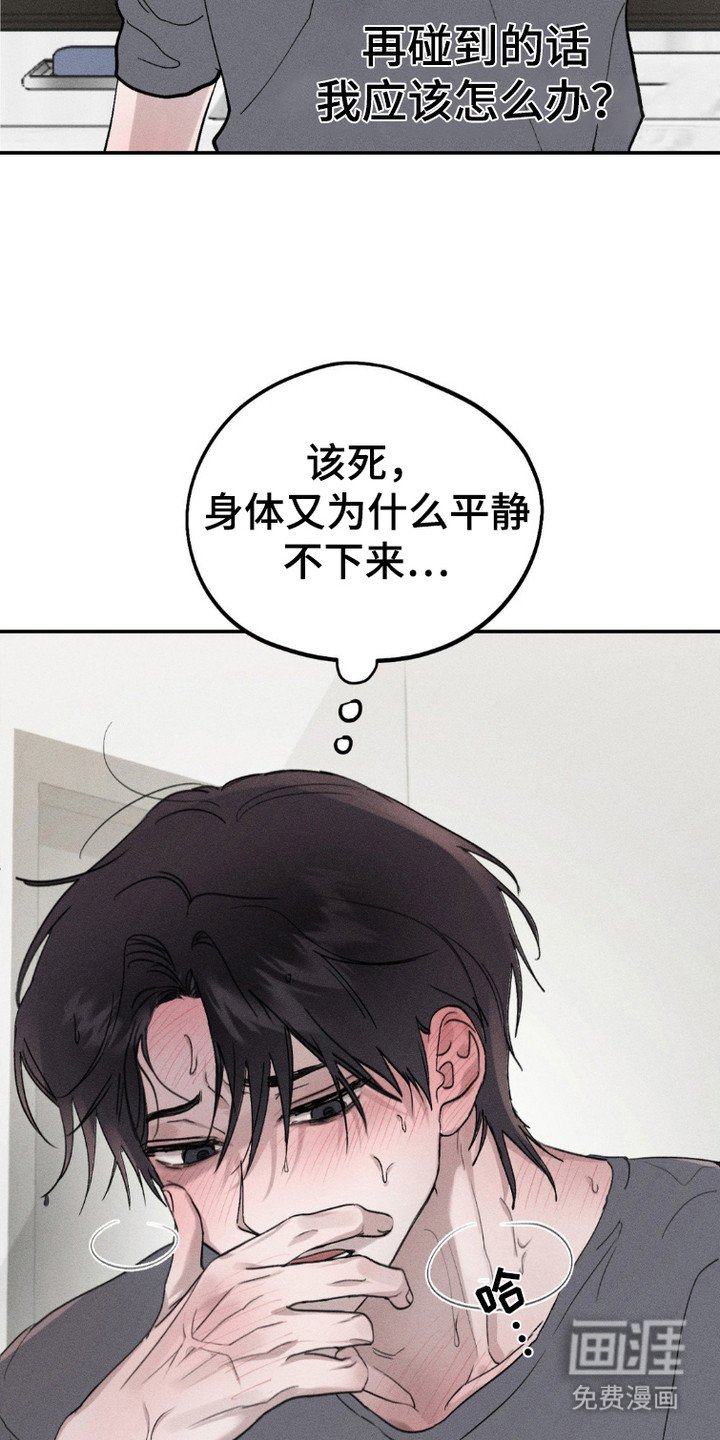 第3章：条件