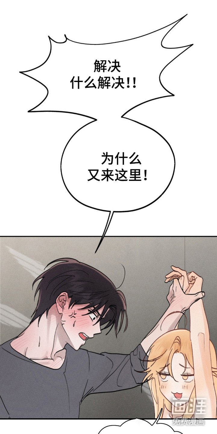 第3章：条件