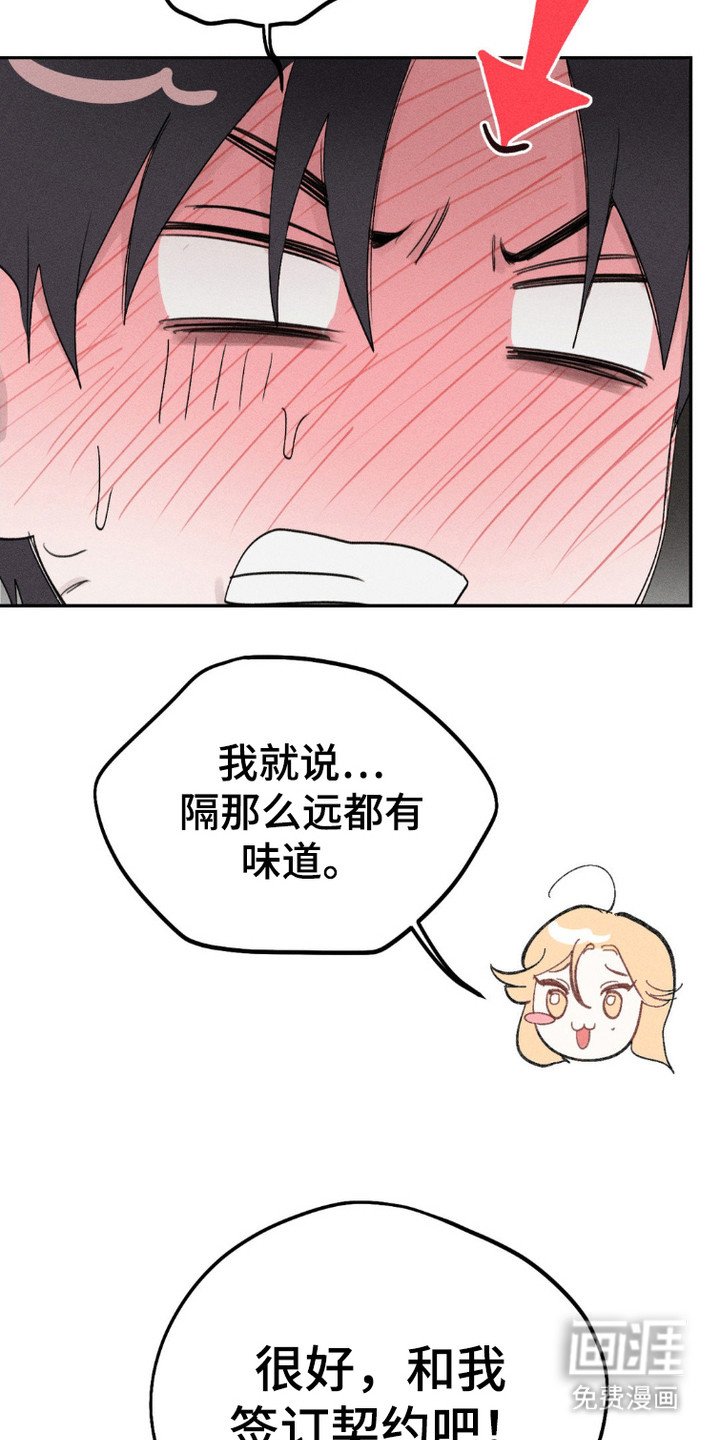 第3章：条件