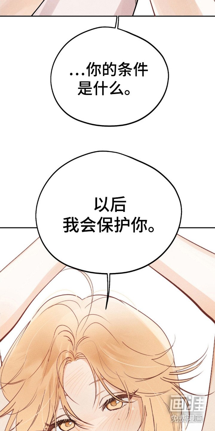 第3章：条件