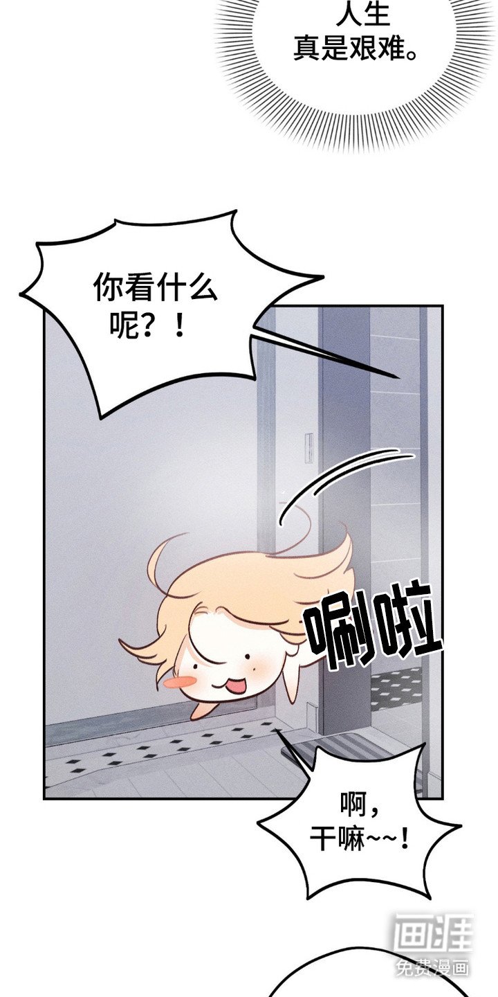 第5章：带回家