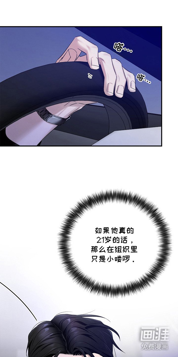 第11章：阴性