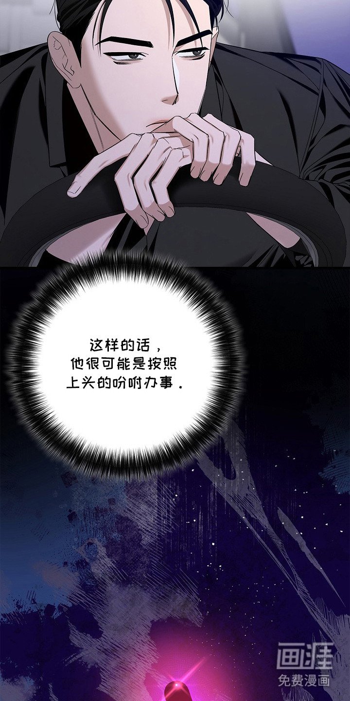 第11章：阴性
