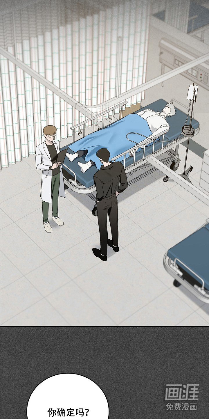 第11章：阴性
