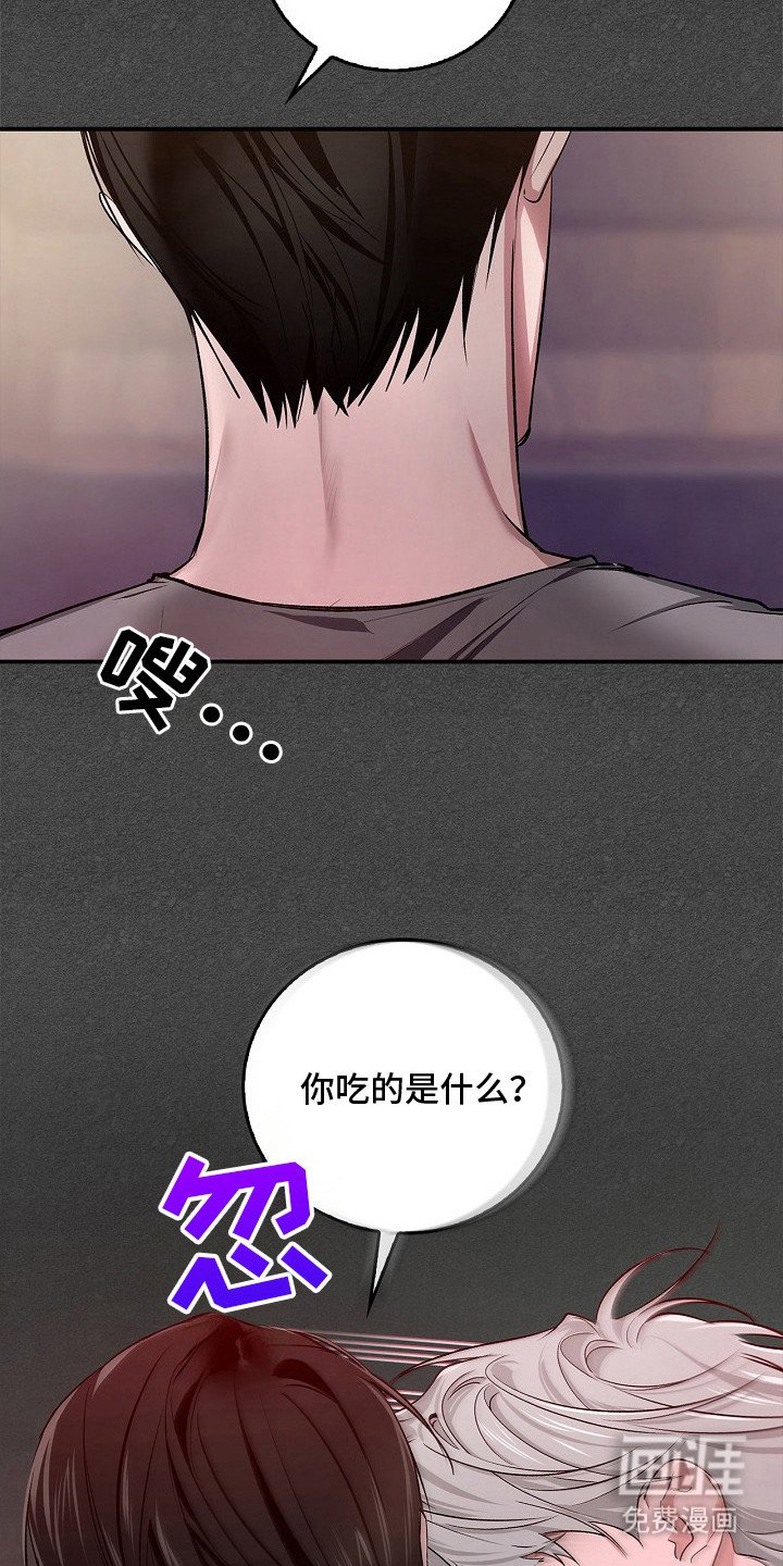 第15章：药效还在
