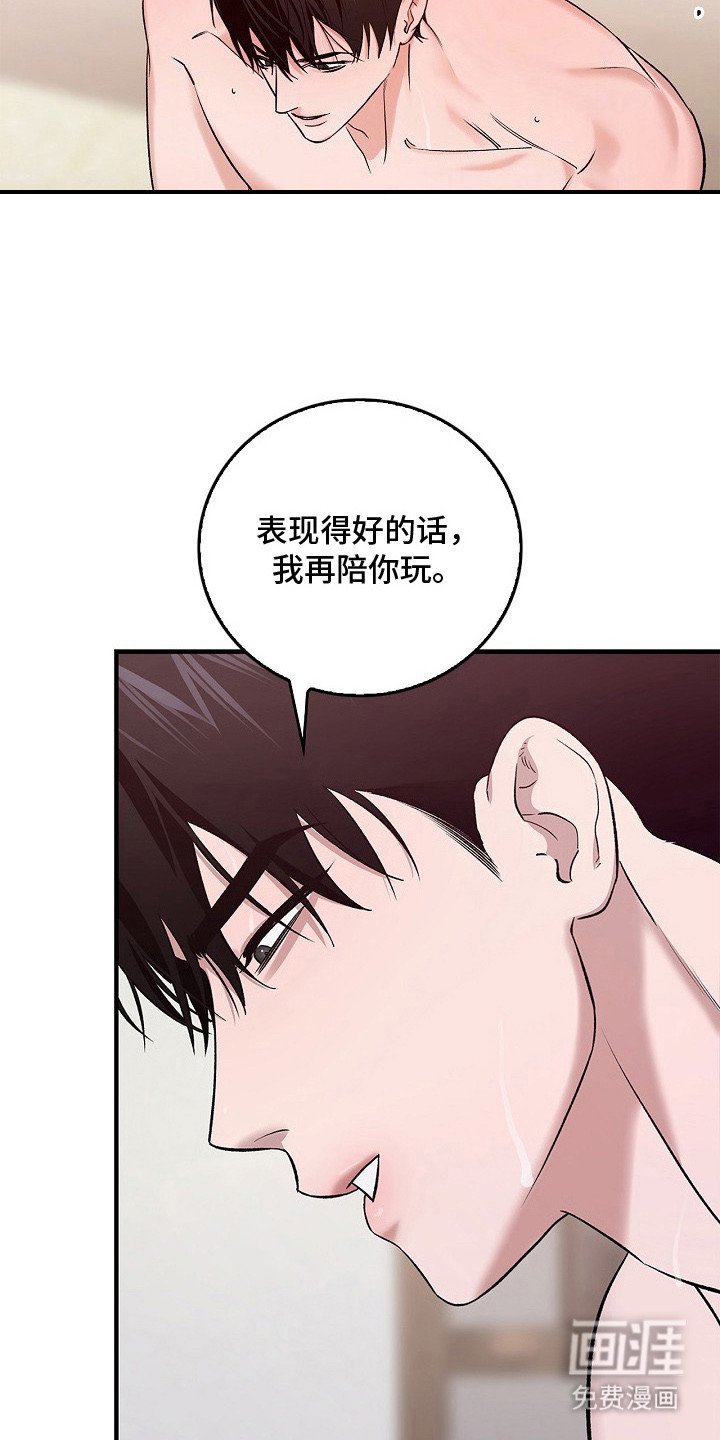 第16章：主导权
