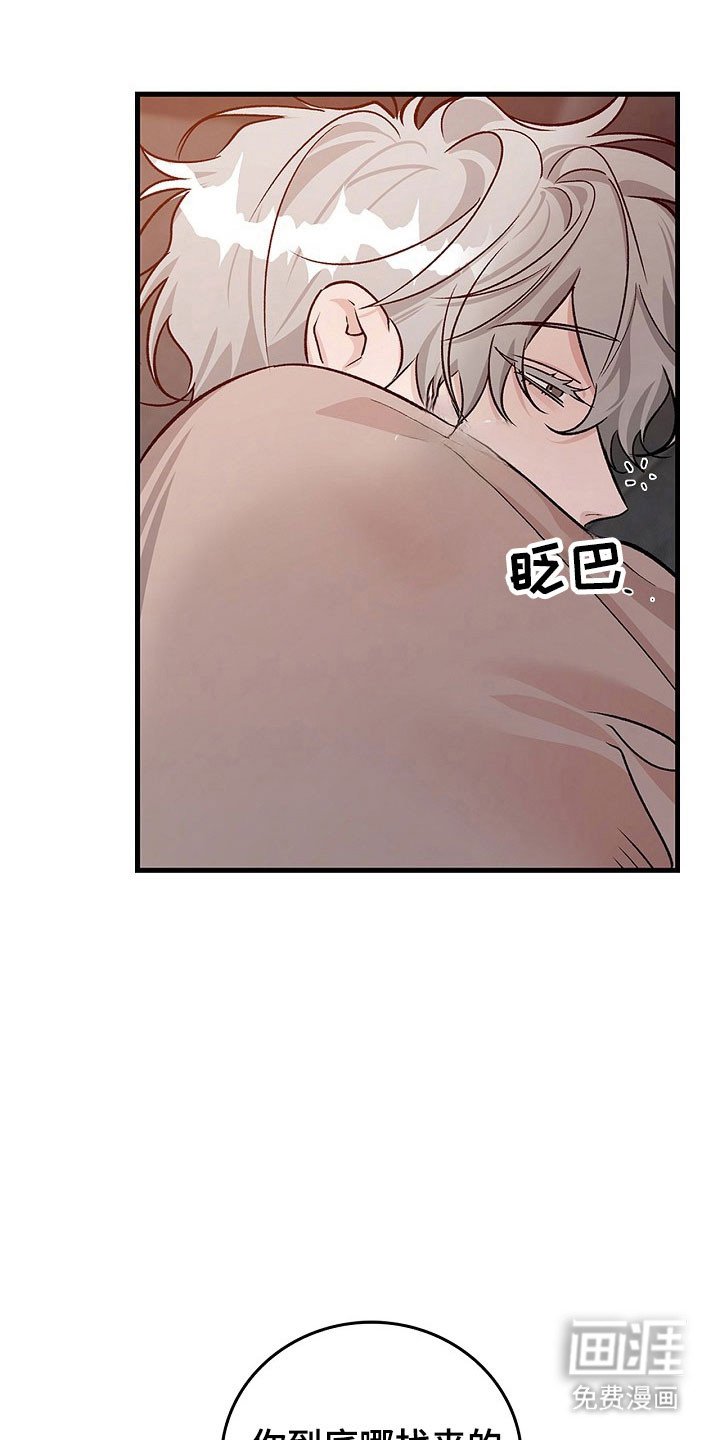 第17章：坦白机会