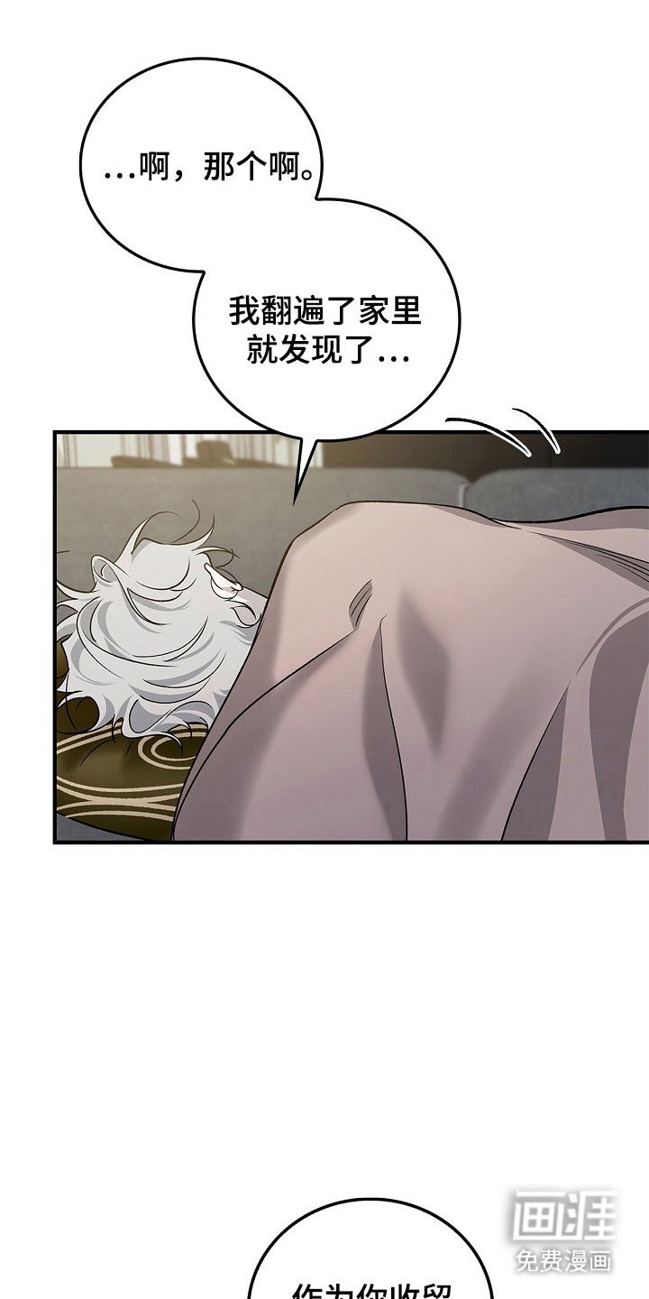 第17章：坦白机会