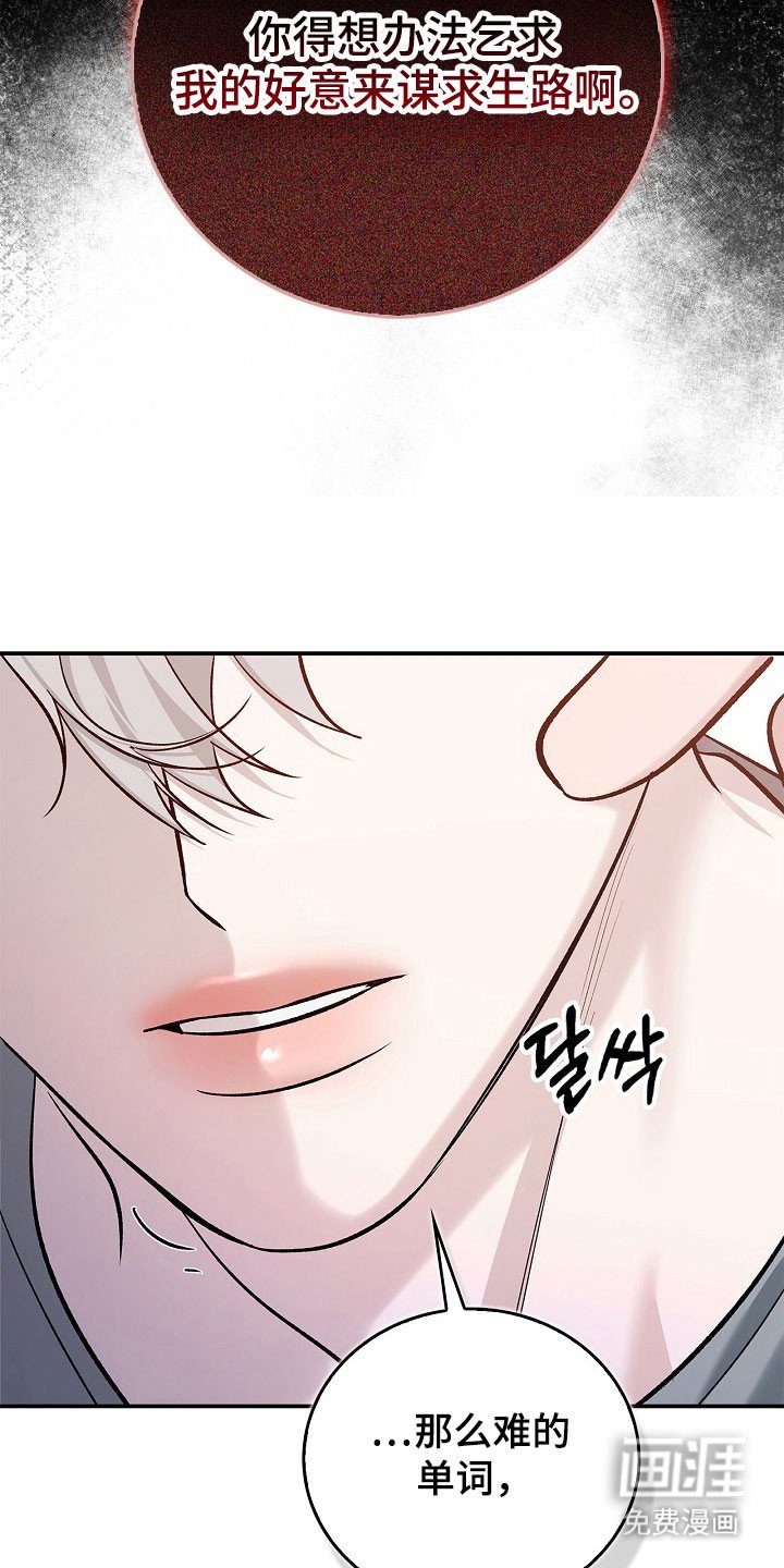 第24章：单词意识