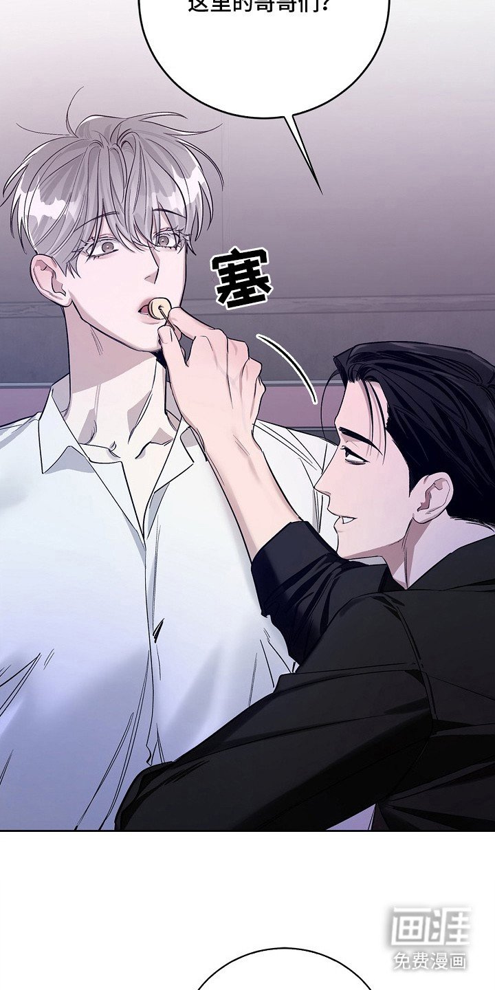 第3章：糖果