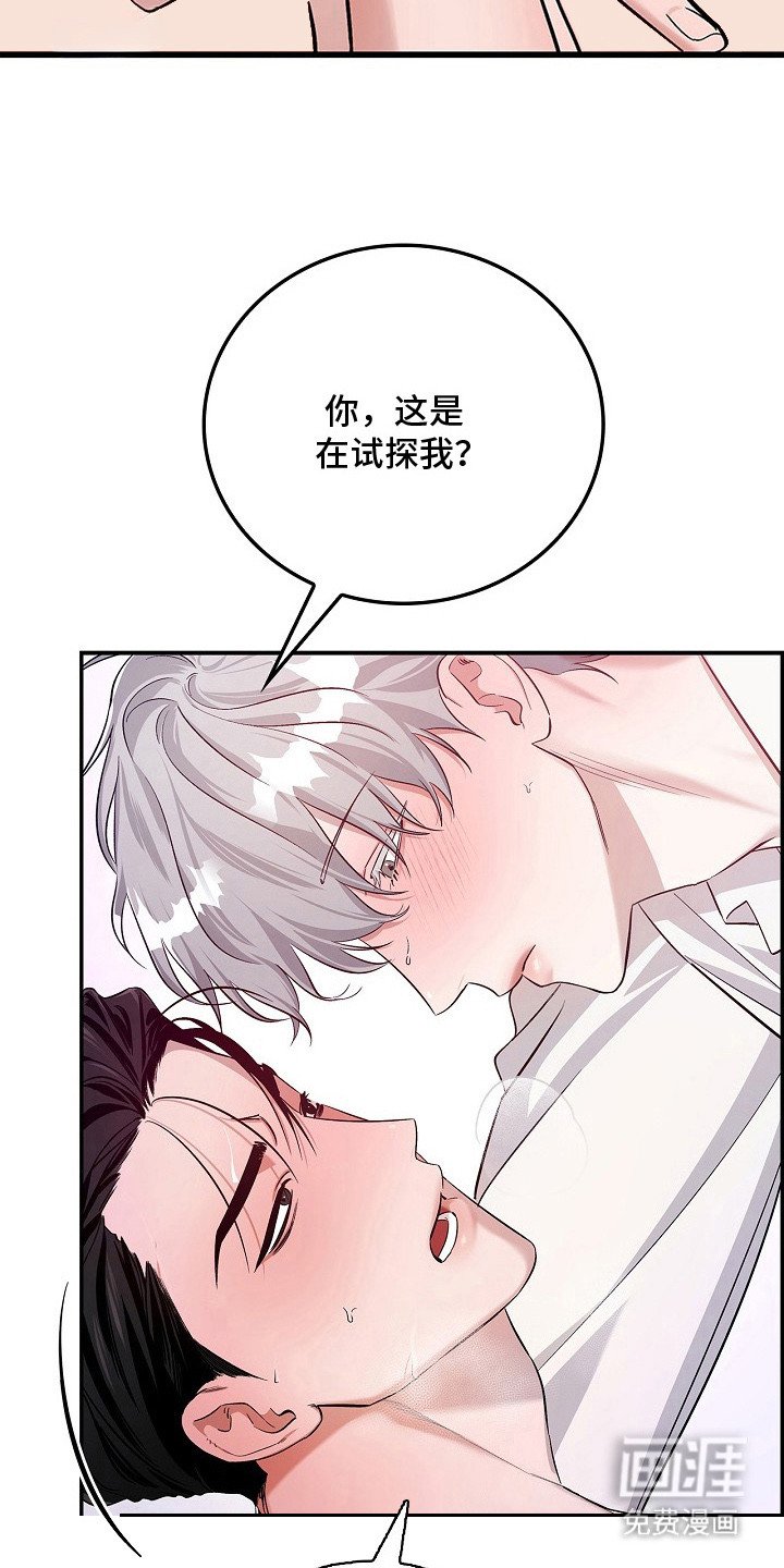 第7章：试探