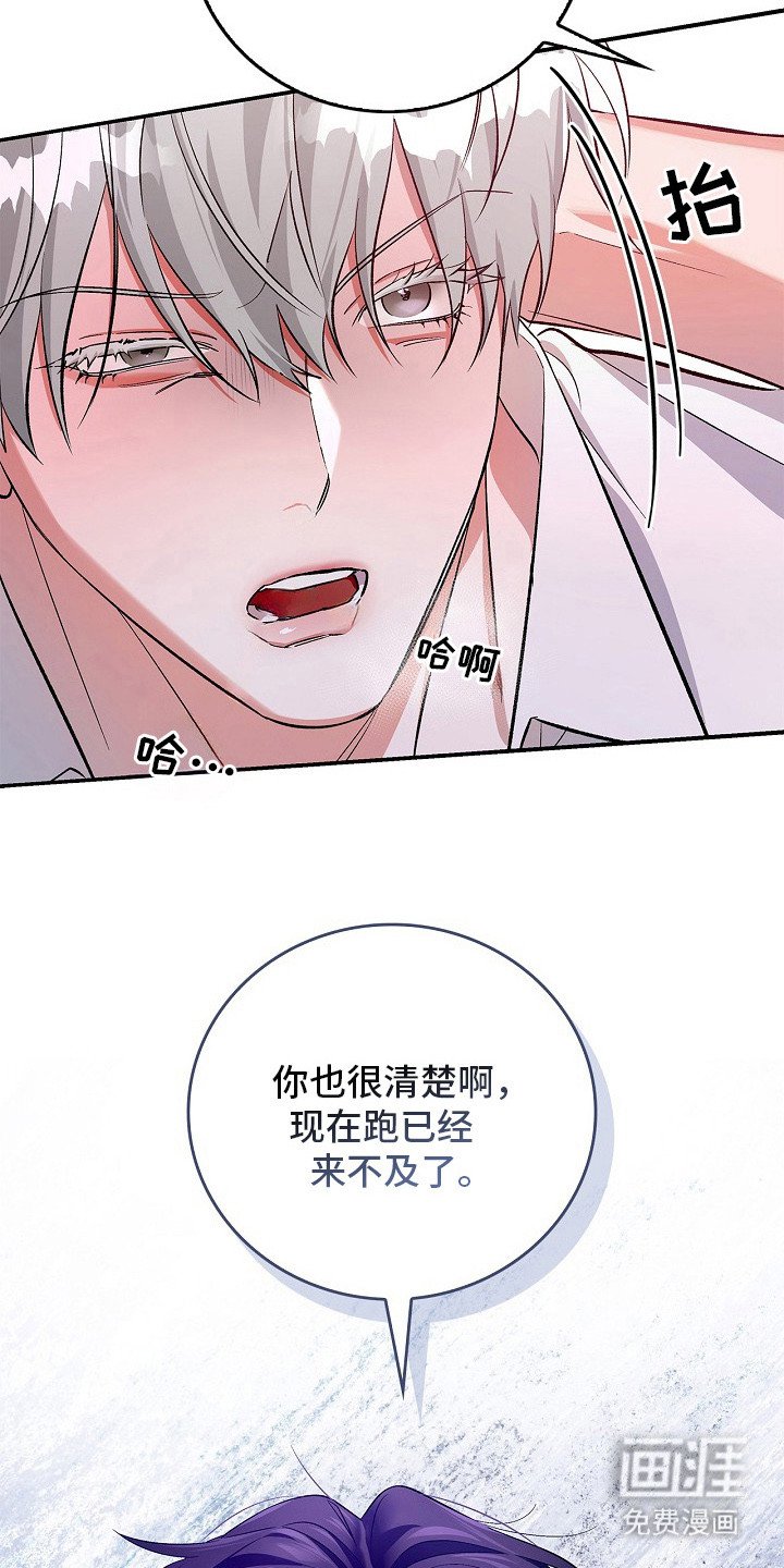 第9章：摊牌